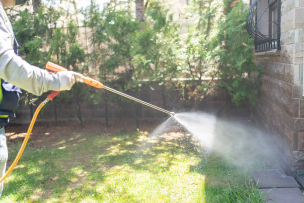 Best Bed Bug Extermination  in Manchester, KY