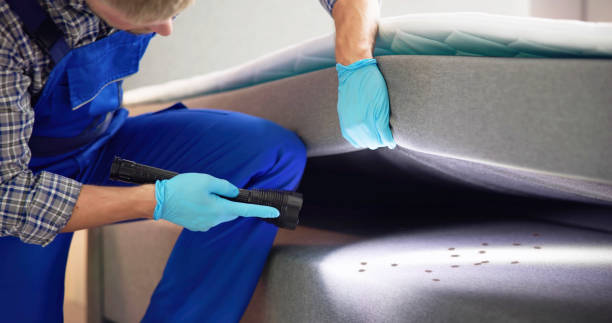 Trusted Manchester, KY Pest Control Experts