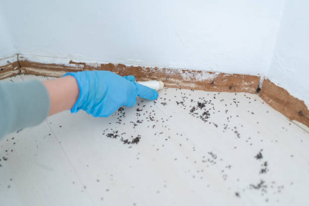 Best Pest Inspection Near Me  in Manchester, KY